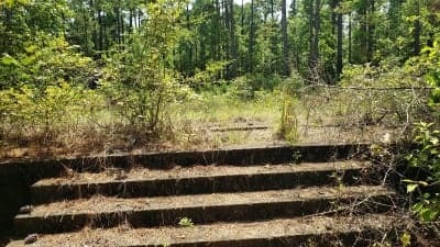Claiborne Multiple-Use Trails
