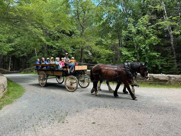 Acadia National Park | Wildwood Stables & Carriage Roads