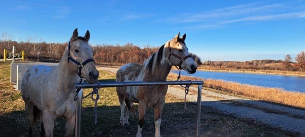 Allen County Equestrian Course