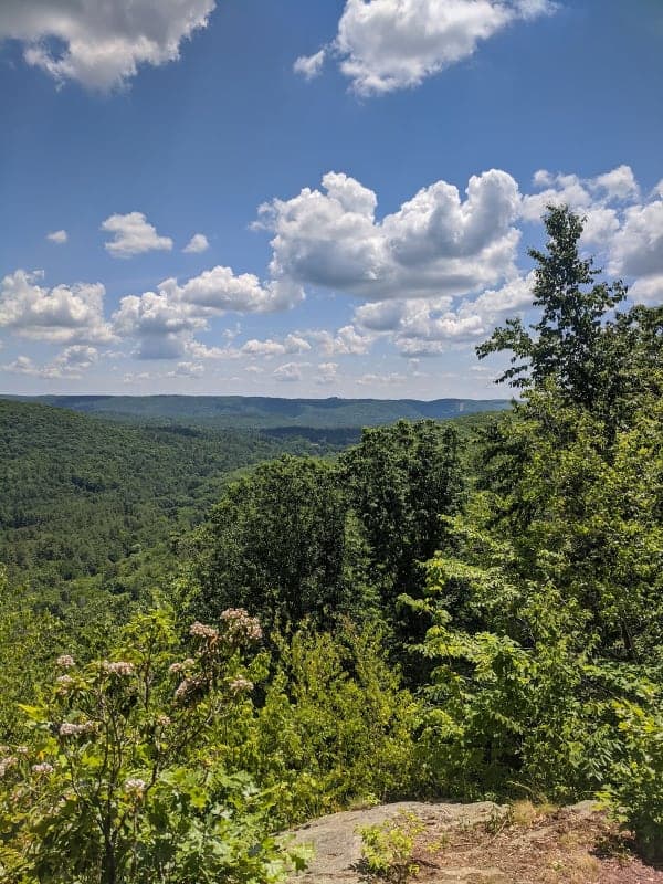American Legion State Forest