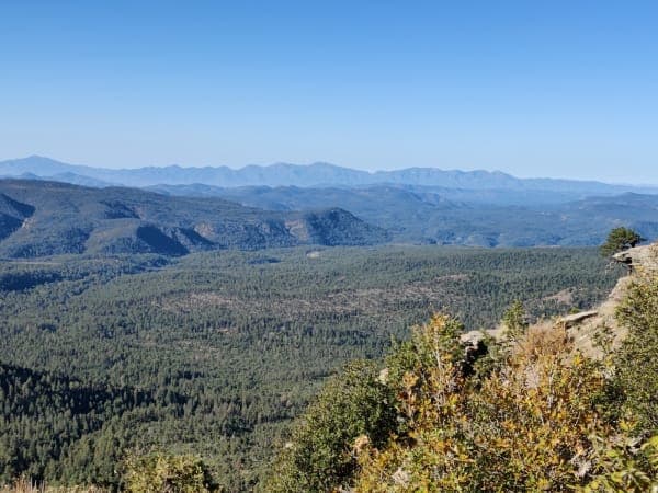 Apache–Sitgreaves National Forests