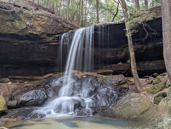 Bankhead National Forest / Owl Creek