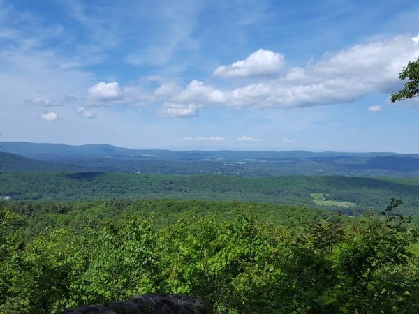 Beartown State Forest