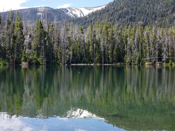 Beaverhead-Deerlodge National Forest