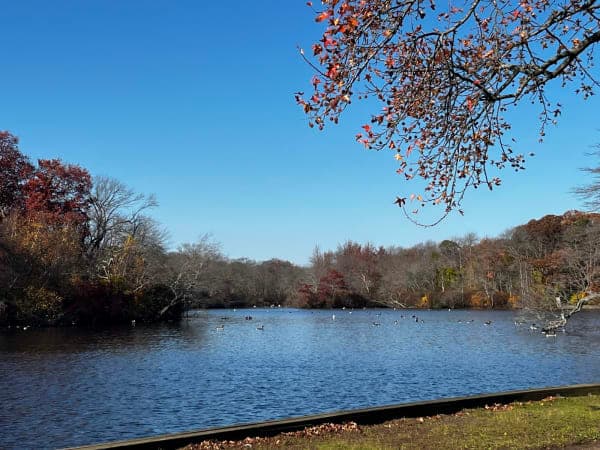 Belmont Lake State Park