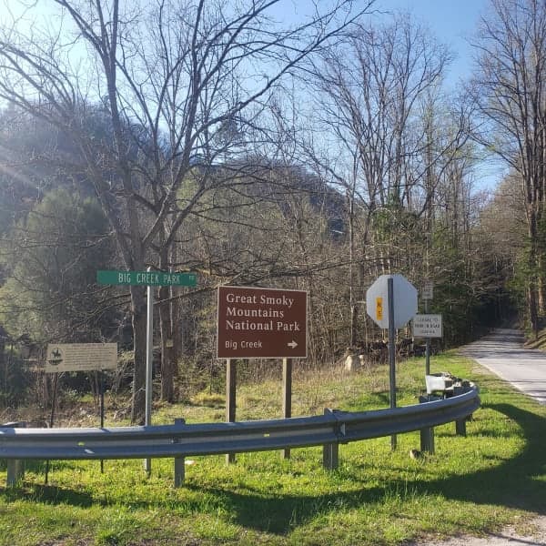 Big Creek Horse Camp