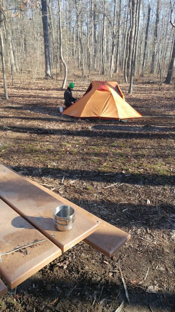 Blackbird State Forest