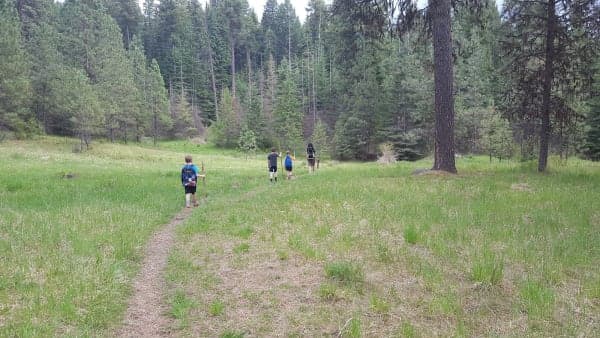 Blue Creek Bay Recreation Site and Trail