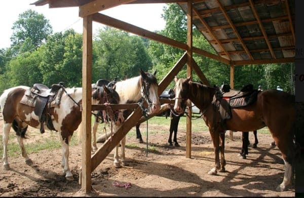 Blue Ridge Equestrian Trail