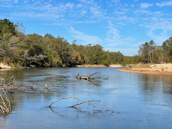 Bogue Chitto State Park