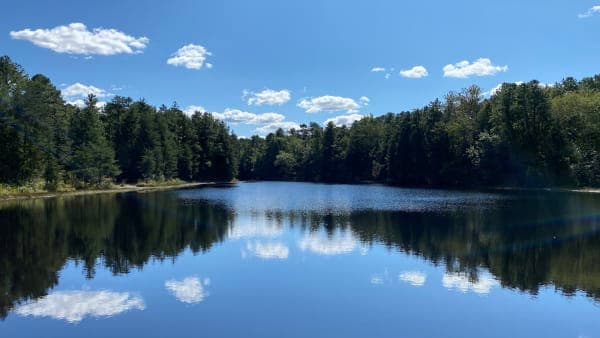 Brendan T. Byrne State Forest