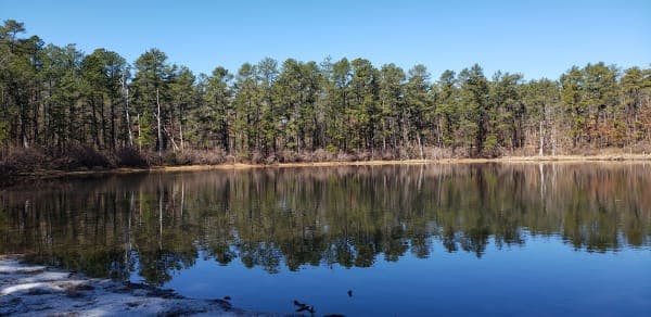Brookhaven State Park
