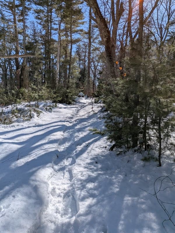 Browning Woods