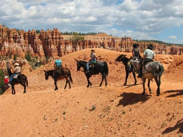Bryce Canyon National Park / Canyon Trail Rides & Private Stock