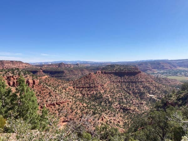 Bunting Trail