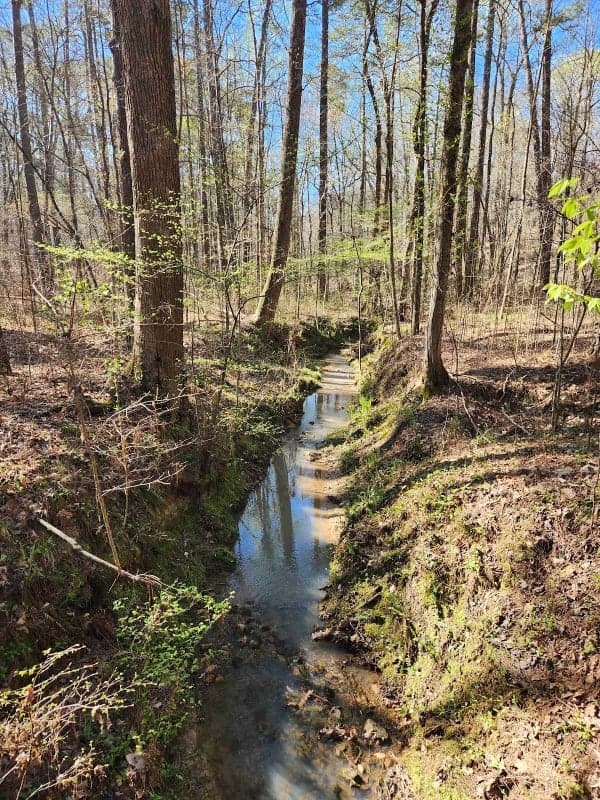 Buncombe Horse Trail