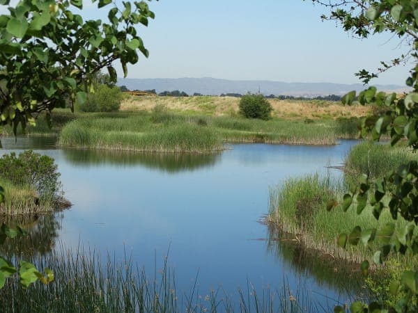 Cache Creek Natural Area
