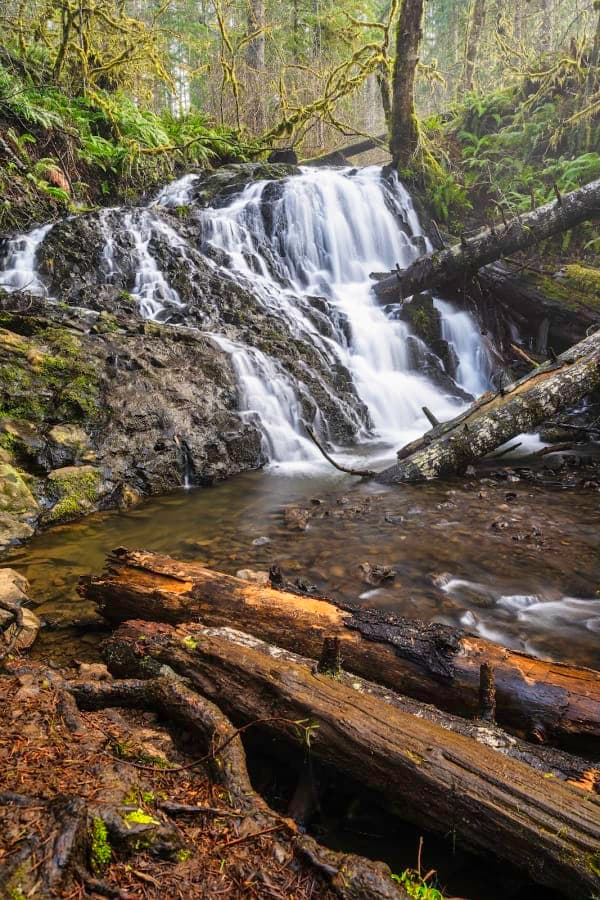 Capitol State Forest (Mima Falls / Margaret McKenny)