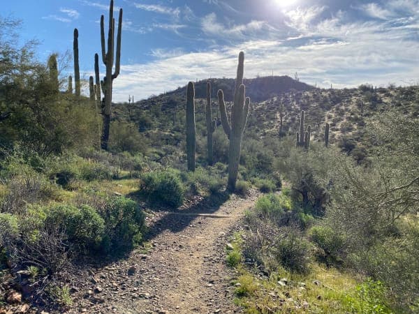 Cave Creek Regional Park