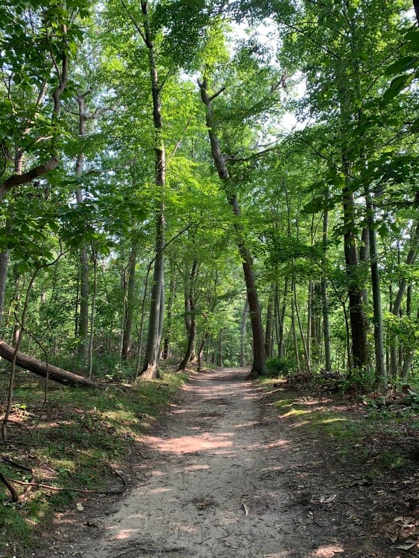 Caumsett State Historic Park Preserve