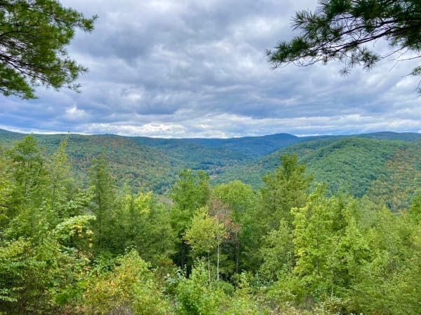Chester-Blandford State Forest