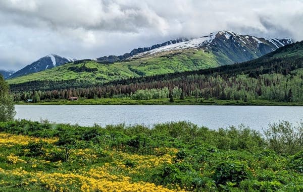 Chugach National Forest