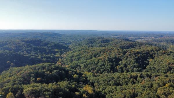 Clark State Forest