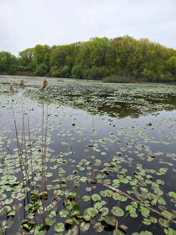 Clay Pit Ponds State Park Preserve