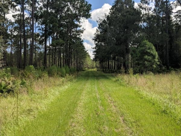 Colt Creek State Park