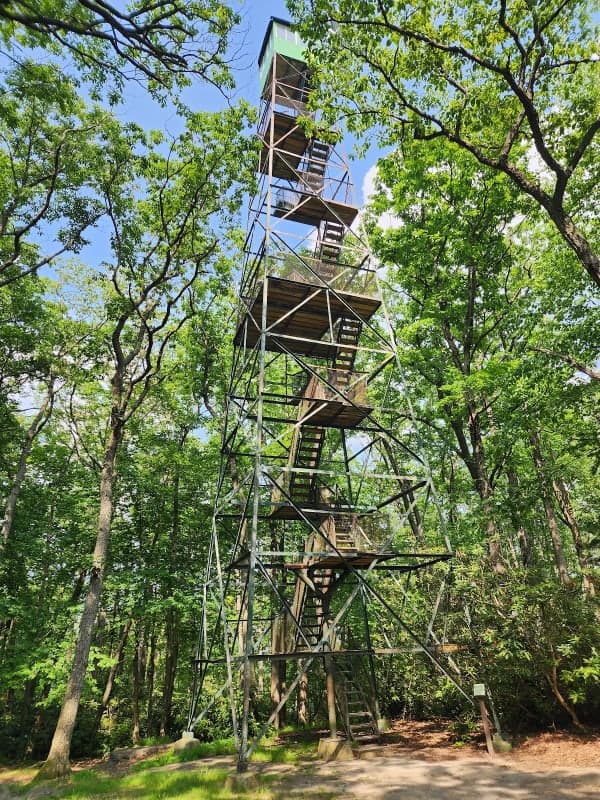 Cook Forest State Park