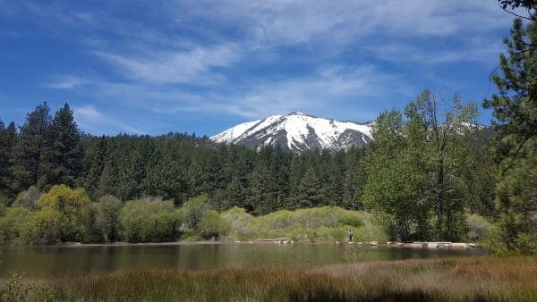 Davis Creek Regional Park