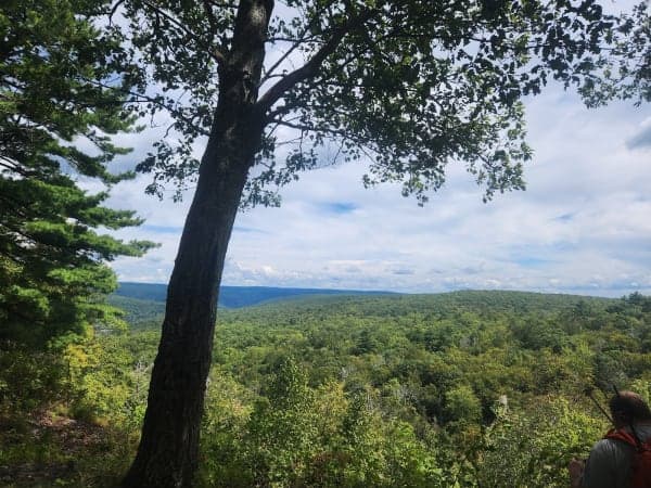 Delaware State Forest / Promised Land Tract