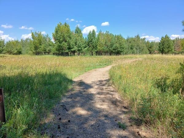 Denbigh Experimental Forest / Denbigh Trail