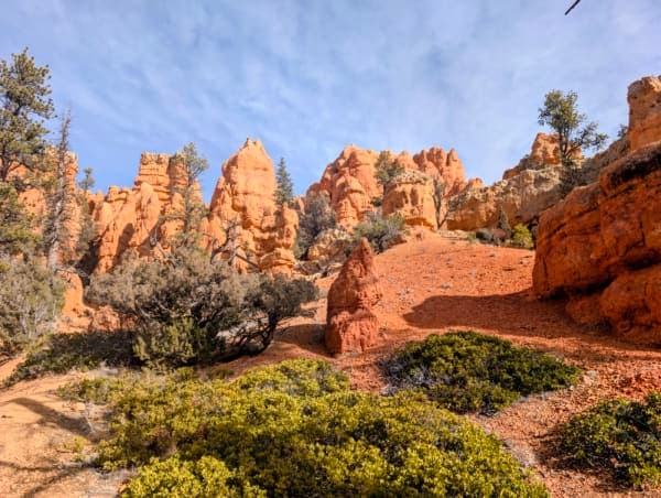 Dixie National Forest / High Mountain Trail