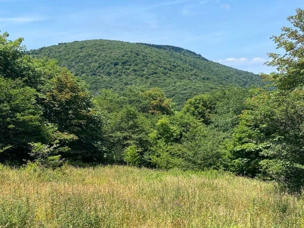 Elk Garden Trailhead / Virginia Highlands Horse Trail