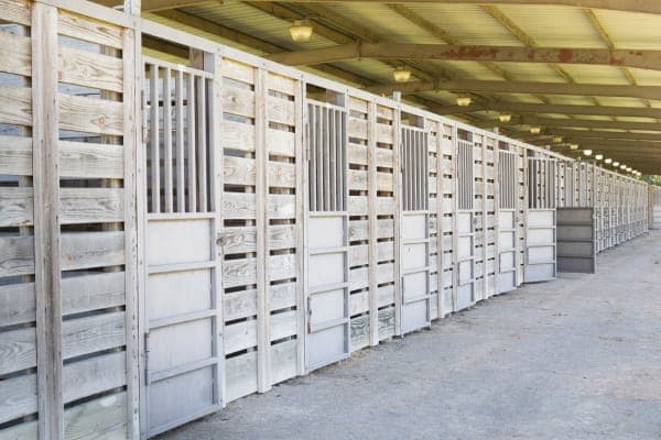 Farr Park Equestrian Center and RV Campground