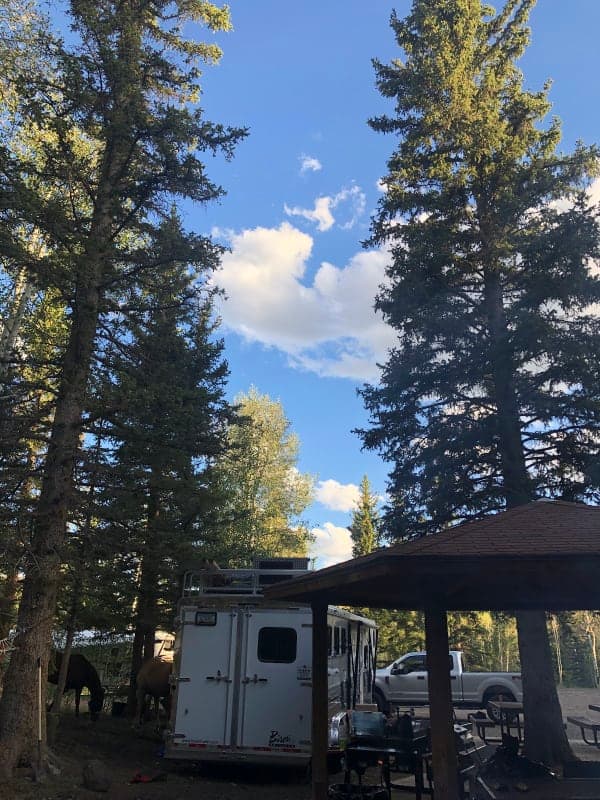 Fishlake National Forest / Tasha Equestrian Campground
