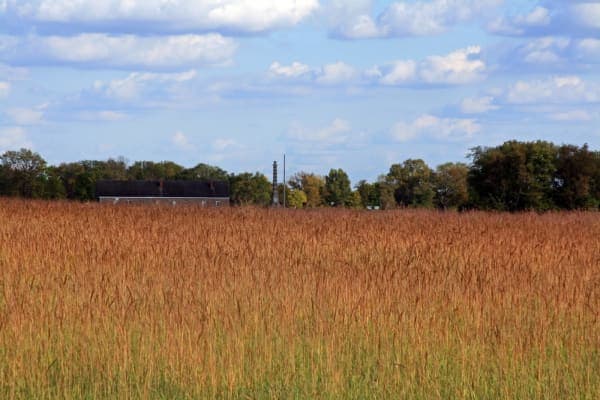 Fort Ridgely State Park