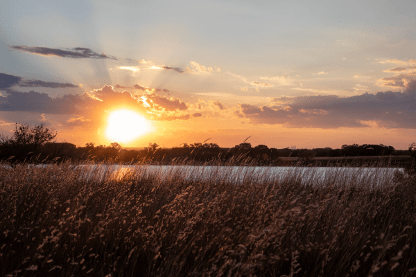 Foss State Park