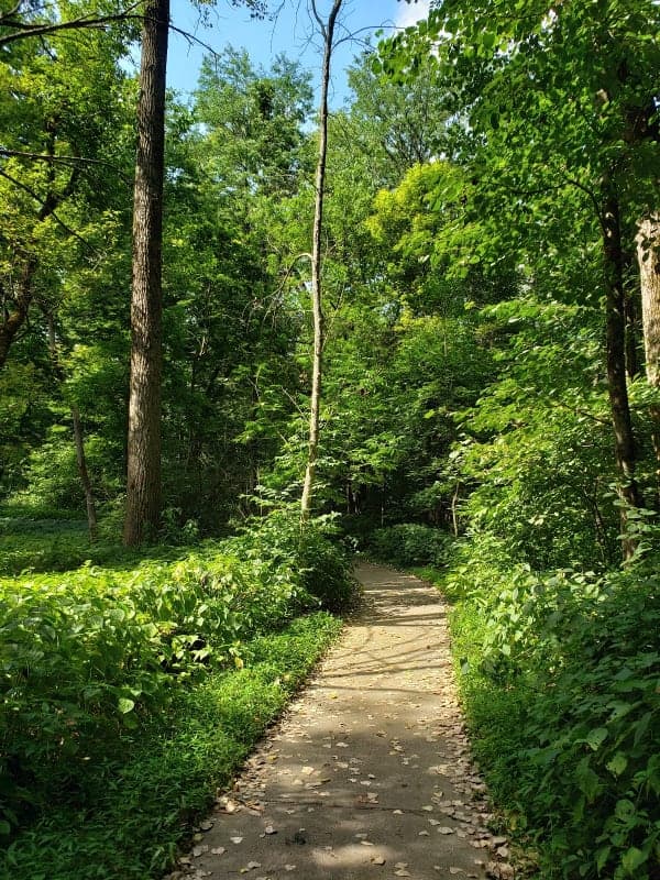 Franklin Creek State Natural Area