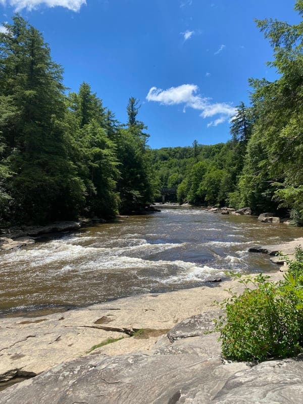 Garrett State Forest