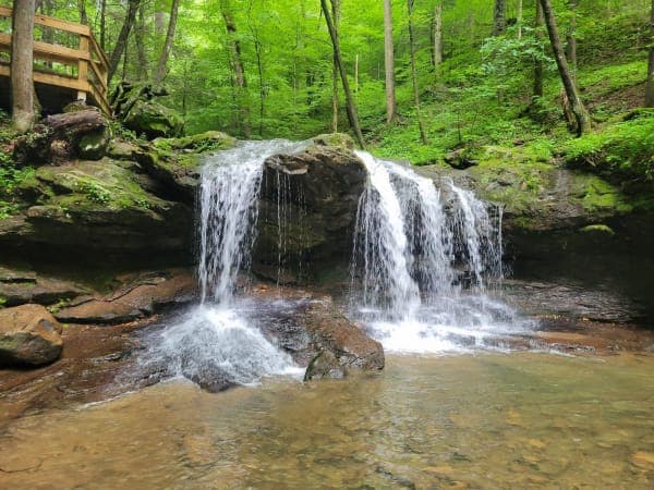 Frozen Head State Park