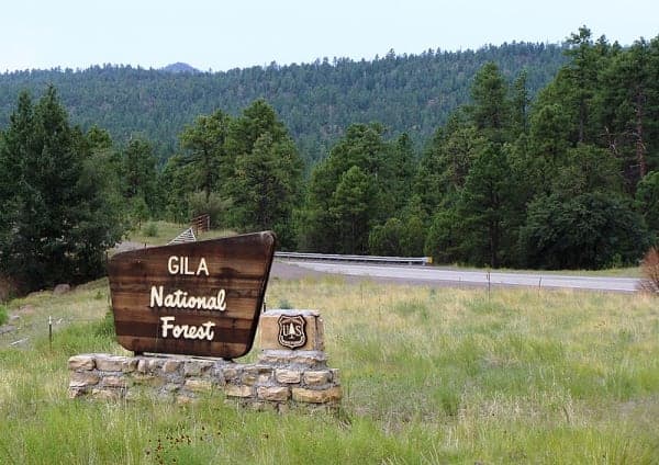 Gila National Forest
