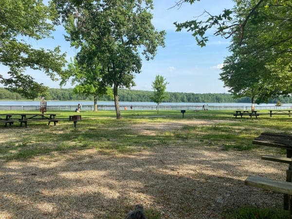 Gifford Pinchot State Park