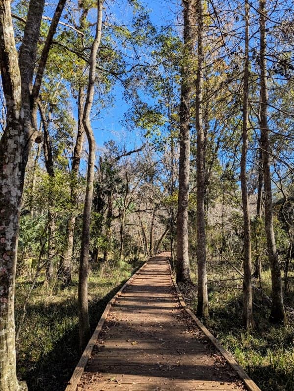 Goethe State Forest
