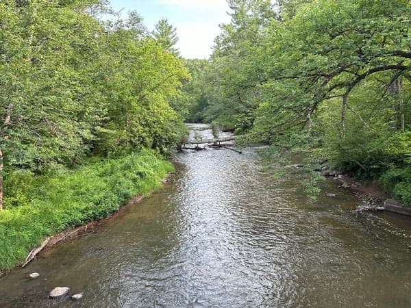 Governor Knowles State Forest