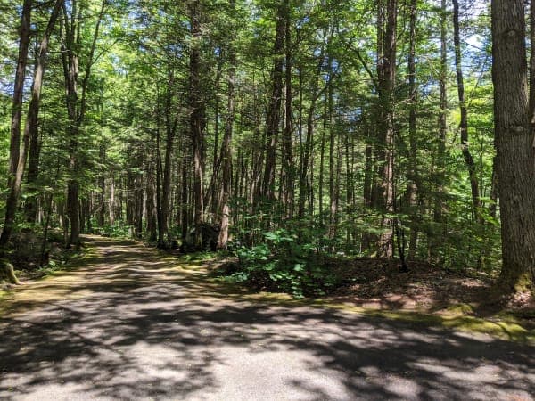 Granville State Forest
