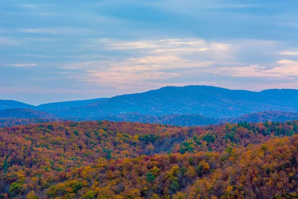 Green Ridge State Forest