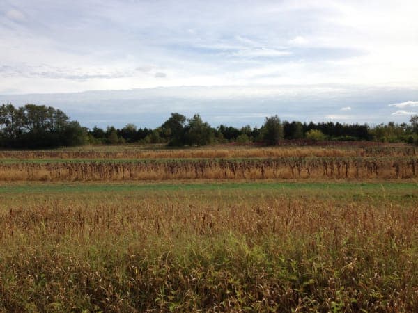 Green River State Wildlife Area