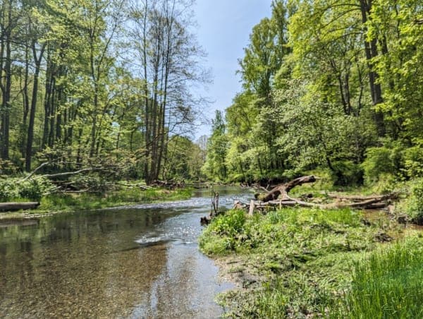 Gunpowder Falls State Park - Hereford Area